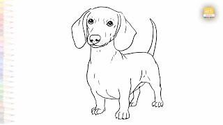 Dachshund dog drawings easy | Pet animal sketches | How to draw A Dachshund dog step by step simply