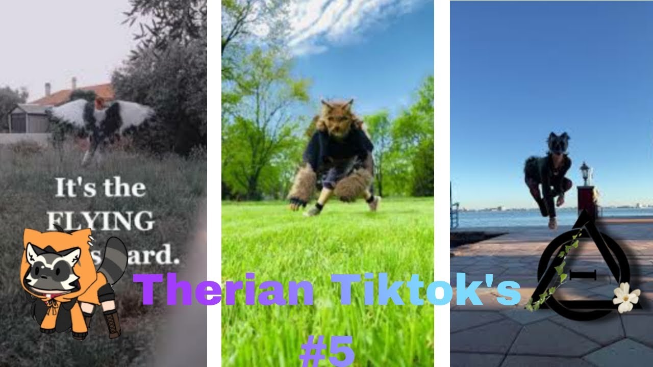 Therian Tiktoks 5 Youtube