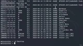 Meterpreter Basic Commands Part 1🕵🏼Elevating Privileges, Extracting Data, Running Keyloggers 9.2