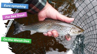 Euro Nymphing for Sea Trout on the Welsh Dee