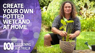 Create your own wetland wonder at home | Australian native plants | Gardening Australia