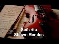 Señorita Shawn Mendes & Camila Cabello Educacao Musical Jose Galvao