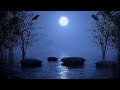 calming pond and relaxing music to loose the days stress