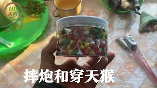 儿时的最爱，摔炮和穿天猴，放了几个给小煤球吓够呛，看到躲着走