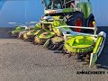 For Sale 2018 Claas Orbis 750 Rotary Corn Header @AMMachineryBV