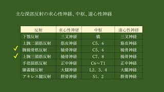 第57回理学療法士・作業療法士国家試験の解説　午前　問題53