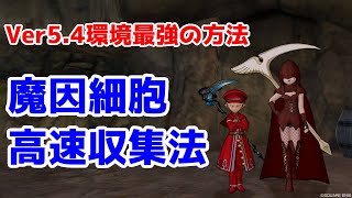 【ドラクエ10】Ver5.4環境最強方法~魔因細胞高速収集法~　レベル上げ・金策にもおススメ!