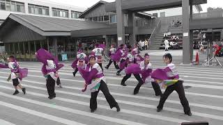 小田原えっさホイおどり2022　踊人～ODORINCHU～紅白対抗演舞祭　小田原三の丸ホール広場（2022/11/13）