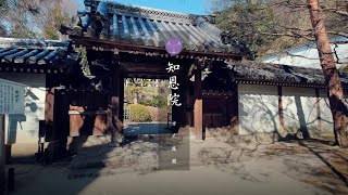 【京都知恩院庭園】日式庭園遊覽｜淨土宗知恩院庭園｜沈浸式庭園遊覽