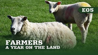 Farmers: A Year On The Land | E05 Sheep | Full documentary