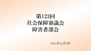 社会保障審議会障害者部会（第123回）動画（2021年12月3日）