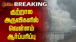 #BREAKING || குற்றால அருவிகளில் வெள்ளம் ஆர்ப்பரிப்பு | Kutralam falls | Tenkasi | Flood Alert