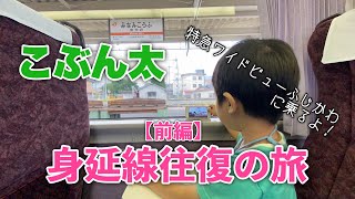 【前編】特急ワイドビューふじかわで行く🚃身延線往復の旅