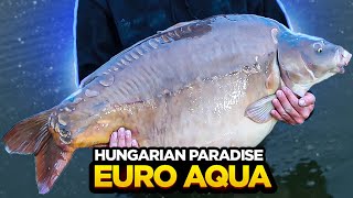Carp Fishing At Euro Aqua - Home Of The BIGGEST CARP In The WORLD