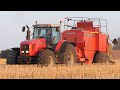 Massey Ferguson 8280 baling w/ Massey Ferguson 190 Baler behind | Harvest Season 2021