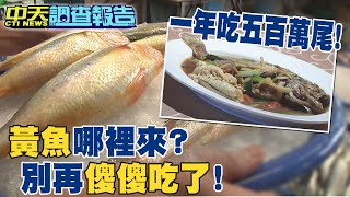 【#中天調查報告】"黃魚"國人愛吃!全是大陸進口.驗出致癌物 建議多吃本土水產@CtiTv