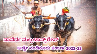 Naverda Malla Chance Race | Adve Nandikooru Kambala 2023 | 15-01-2023 | Namma Kambala