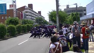 福井大学よっしゃこい 2018｢時、結び｣ 犬山踊芸祭 パレード演舞