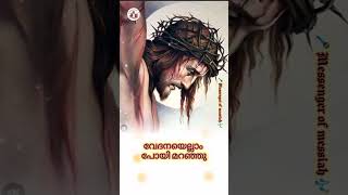 ക്രൂശിതന്റെ വഴിയേ#christianstatus #lent #holycross #jesus #christianshorts #malayalam #catholic