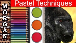 Pastel Pencil Techniques : Drawing a Gorilla : Wildlife Art Jason Morgan