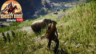 Early Look - SmokeyRidge RP -  RedMRP - Live Stream