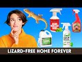 Best Lizard Repellent For Home - Keep Your Home Lizard-Free Forever