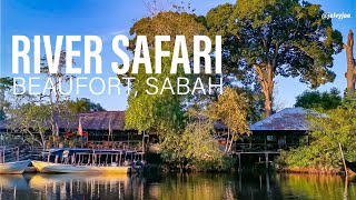 Mesmerizing Sabah River Safari/ Klias River Cruise, Beaufort Sabah