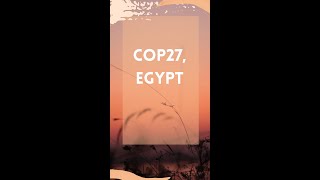 What is COP27? #shorts #cop27