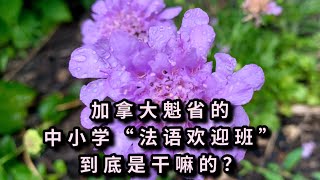 加拿大魁省的新移民孩子必须上法语学校？