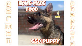 I Made Affordable Homemade Dog Food