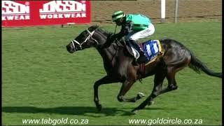 20171101 Greyville Race 5 won by SHE'S A DREAM