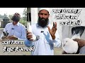 Top 5 Indian High Flying Pigeons ? Furkan Bhai Rampur!! Arshad idrisi Pigeon lover