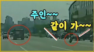 11252회. 대형 트럭에서 빠진 타이어가, 트럭보다 더 빠르게 달려갑니다