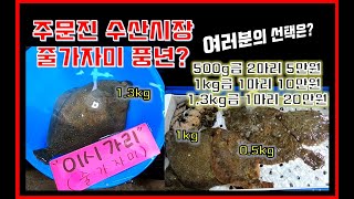 주문진수산시장/풍물시장/어민시장/줄가자미가 풍년?/여러분은 어떤걸로 선택하시겠어요?/줄가자미 500g, 1kg, 1.3kg/주문진시장 활력이 넘칩니다~