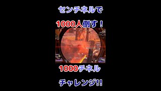 【Apex Legends】センチネルで1000人斬り目指す！1000チネルチャレンジ　1/1000 #shorts