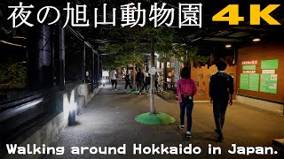 【夜の動物園】夜の旭山動物園を散策(Take a walk in Asahiyama zoo at night)2021/8/16【北海道旭川市(Asahikawa City,Hokkaido)】