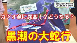 【カツオ漁に異変！？どうなる？黒潮の大蛇行】空ネット（４月２０日放送）