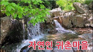 해발500고지/멋진계곡 자연인 마을 땅도 파신 다네요/목동골 Mountain village