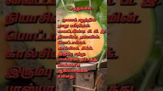 முலாம் பழம்/ முலாம் பழம் பயன்கள்/ முலாம் பழம் நன்மைகள்/ musk melon/ melon fruit/ honey dew #shorts