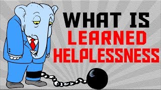 DON'T BE A DUMB ELEPHANT - How to get rid of learned helplessness