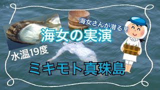 海女さんが水温19度の海へ飛び込む‼「海女の実演」【ミキモト真珠島】