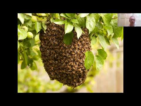 Natural Beekeeping That Works with Dr. Leo Sharashkin
