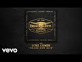 Download Brooks Dunn ft Luke Combs Brand New Man Official Audio mp3