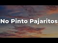 Andy Rivera - No Pinto Pajaritos (Letra/Lyrics) | Official Music Video