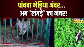 UP Wolf Attack News | बहराइच में पकड़ा गया पांचवां भेड़िया, वन विभाग की टीम ने पकड़े भेड़िए