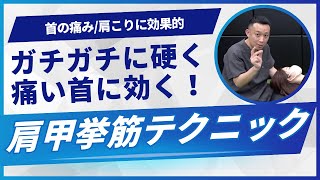 【首痛】ガチガチの肩甲挙筋をゆるめるテクニック