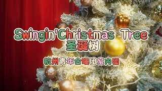 Swingin' Christmas Tree  (O Christmas Tree)  —— Hangzhou Youth Choir