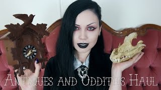 ANTIQUES AND ODDITIES HAUL || Dingo Bones, Goth Sofa and more!