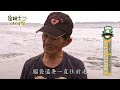 《精選 詹姆士棒的》狂人帶路潮間帶挖赤嘴仔 如何挑選看這點