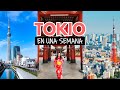 ¿Qué hacer en Tokio en una semana?